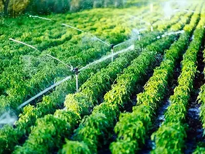 Sistema de riego por aspersión funcionando en cultivo agrícola con energía solar